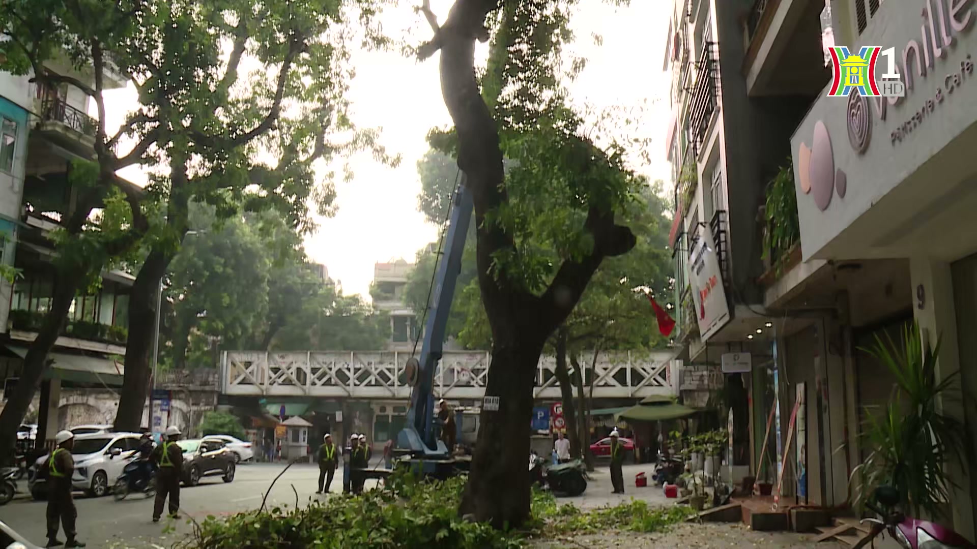 Giao thông Hà Nội | 30/11/2024